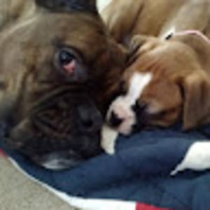 Meet your Posher, Nancy